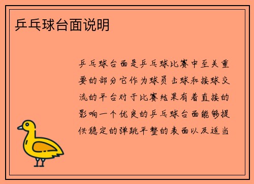 乒乓球台面说明