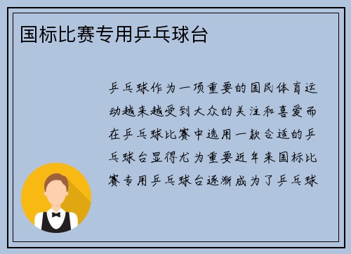国标比赛专用乒乓球台